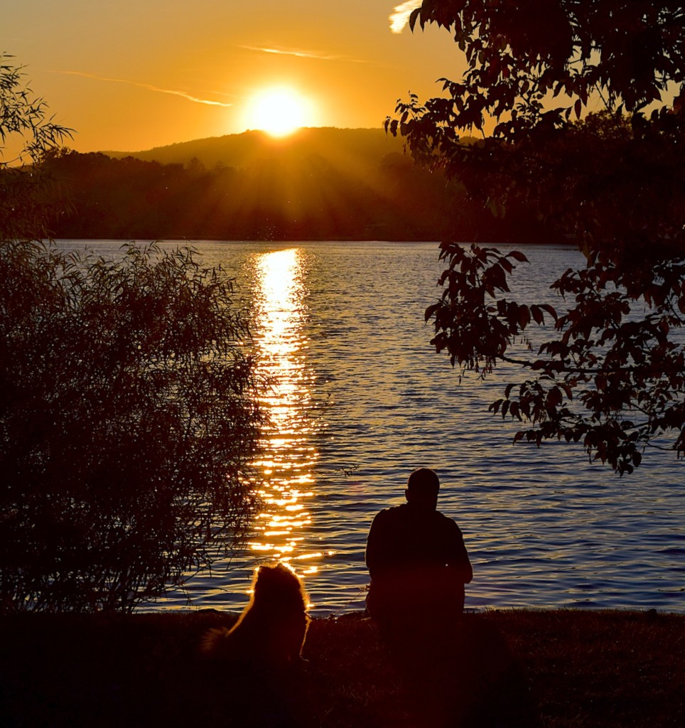 夕日を見つめる人