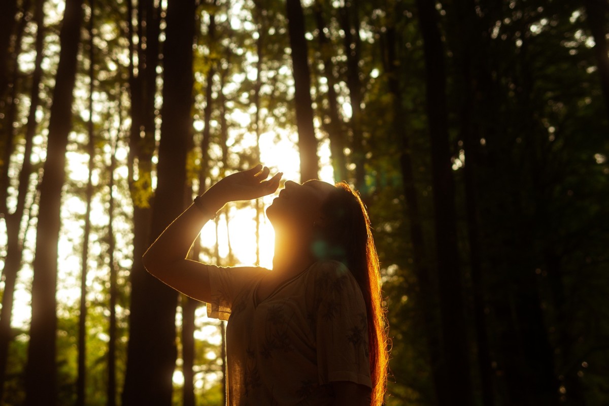 森林浴をする人
