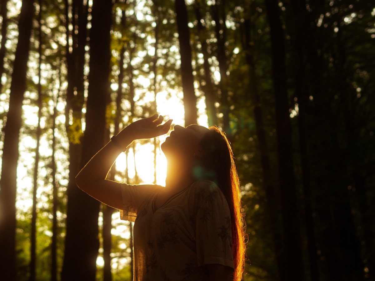 森林浴をする人